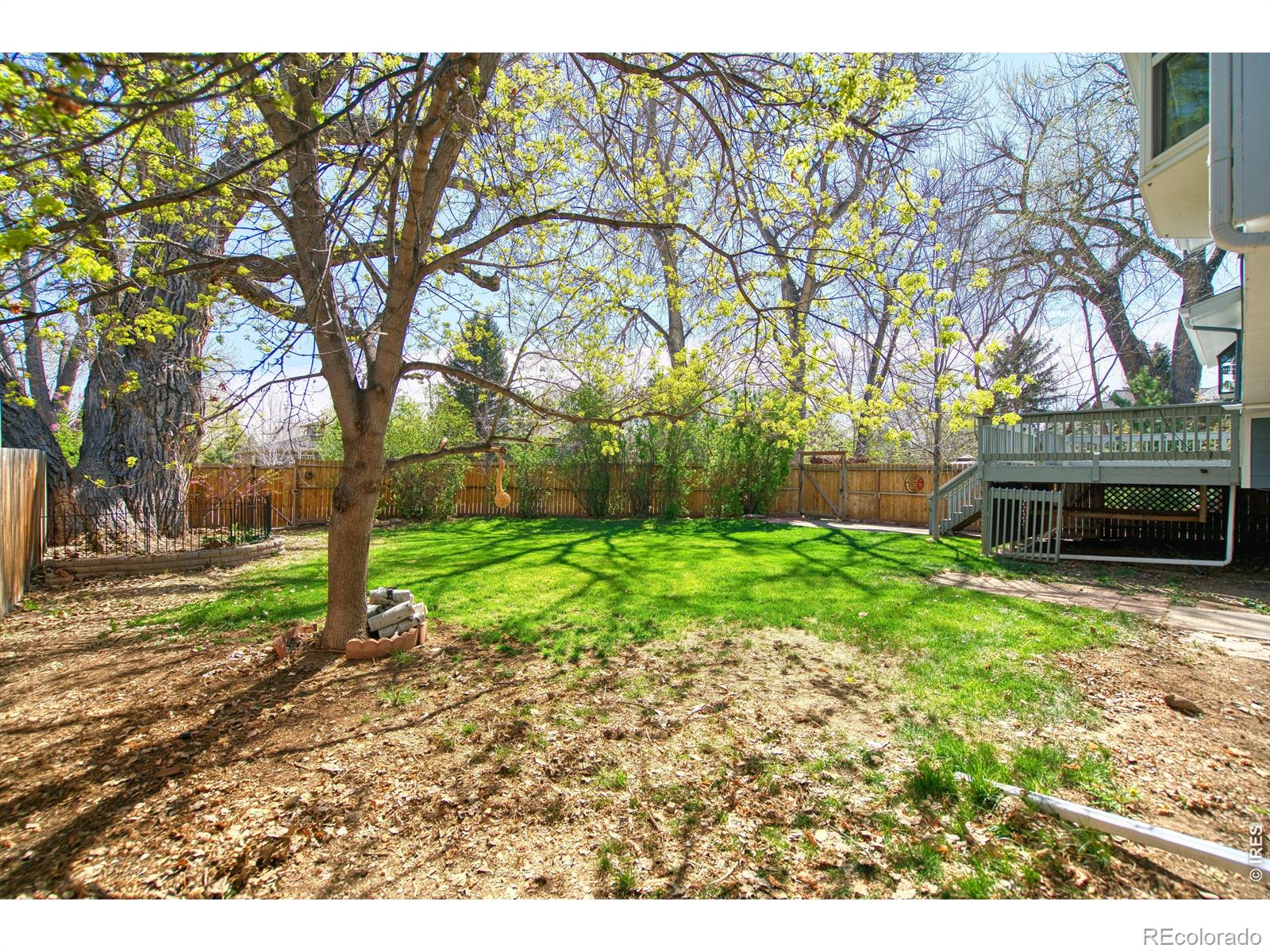 MLS Image #7 for 7216  timothy place,niwot, Colorado