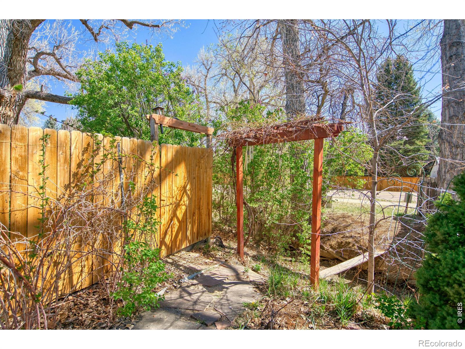 MLS Image #8 for 7216  timothy place,niwot, Colorado