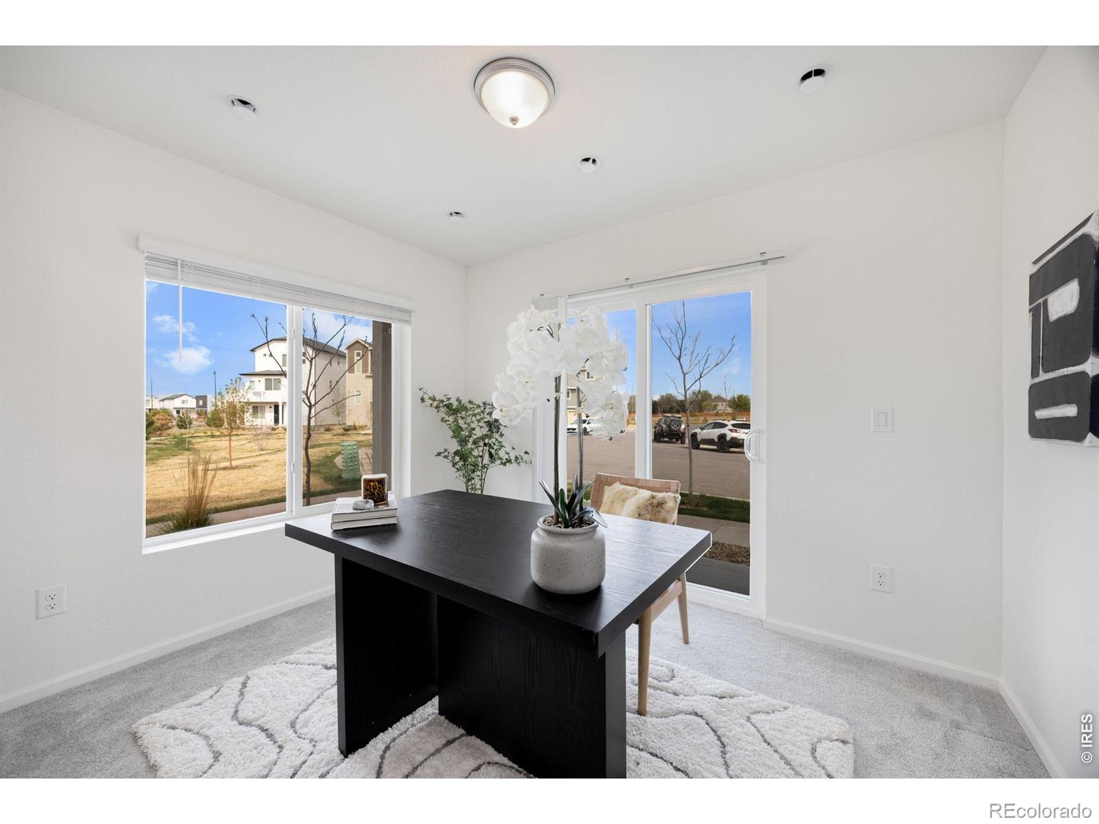 MLS Image #7 for 13402 e 103rd avenue,commerce city, Colorado