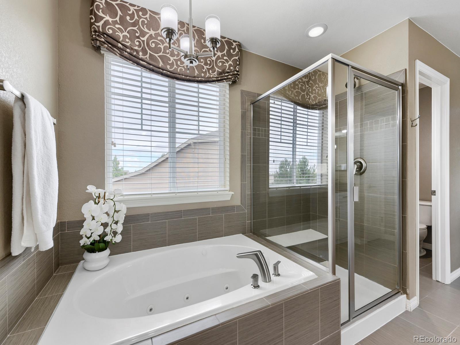 MLS Image #16 for 1004  stanley court,erie, Colorado