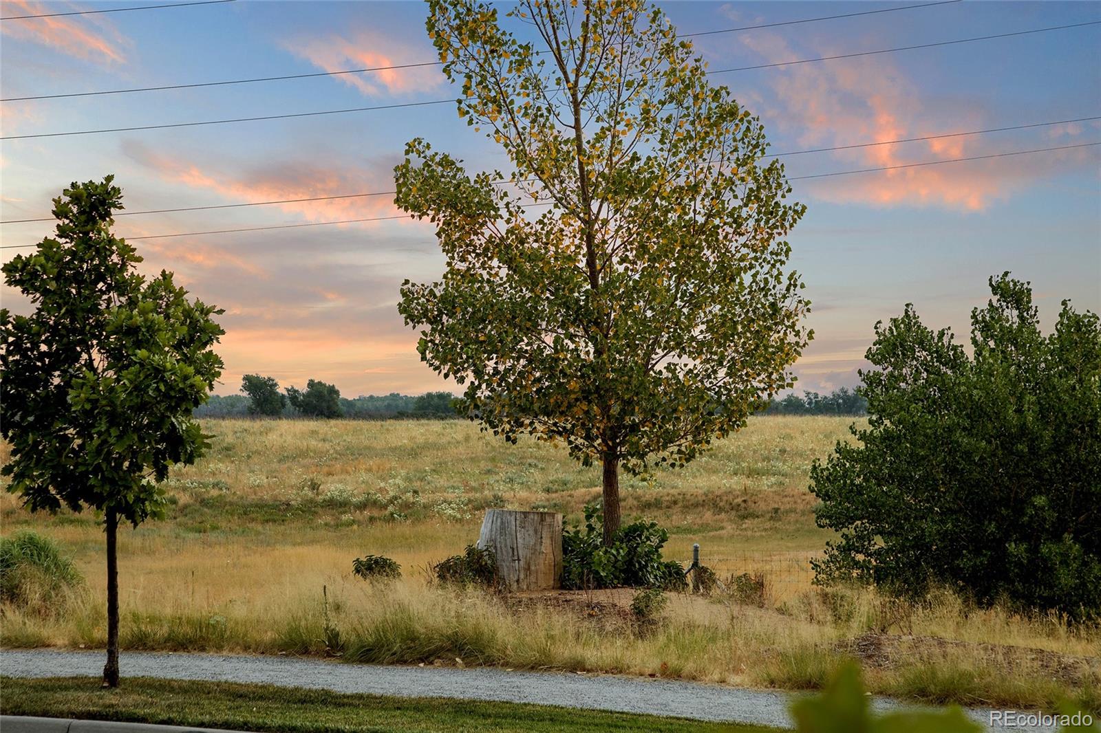 MLS Image #1 for 5971  hanover street,denver, Colorado