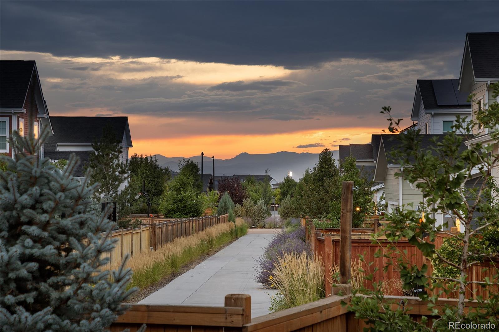 MLS Image #46 for 5971  hanover street,denver, Colorado