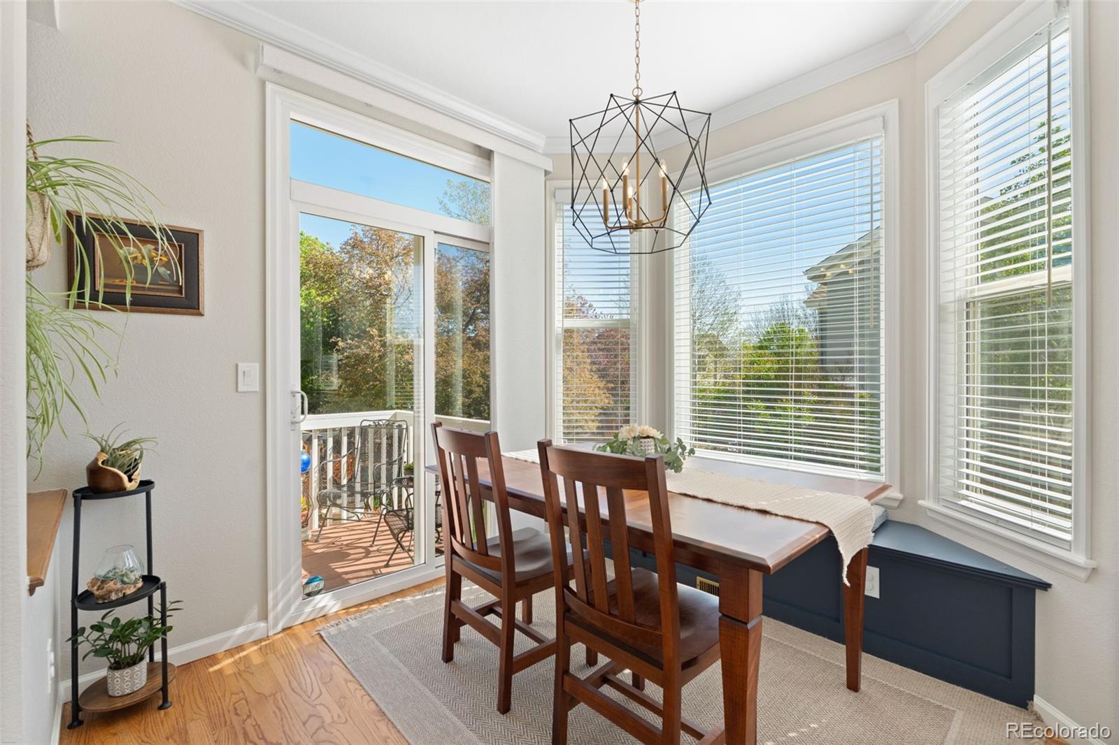 MLS Image #16 for 16361  oakmoor place,parker, Colorado