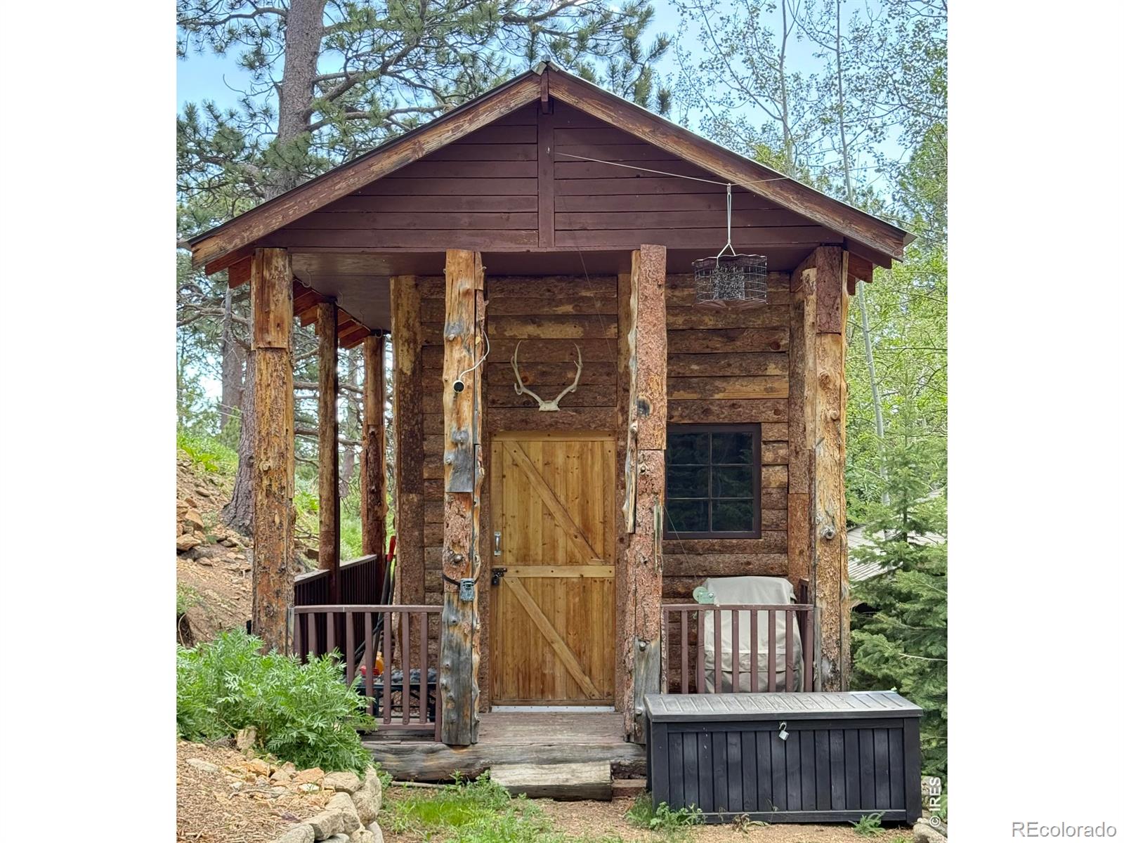 MLS Image #5 for 124  ski road,allenspark, Colorado