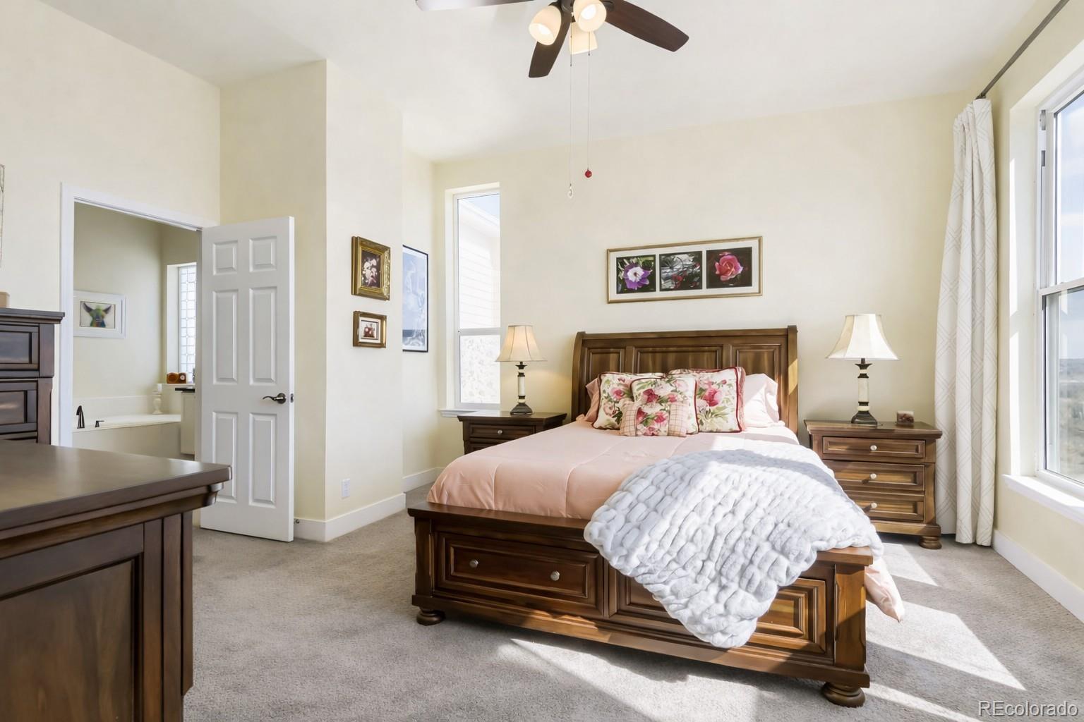 MLS Image #13 for 10270  amethyst way,parker, Colorado