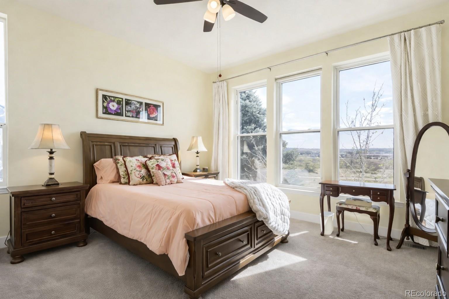 MLS Image #14 for 10270  amethyst way,parker, Colorado