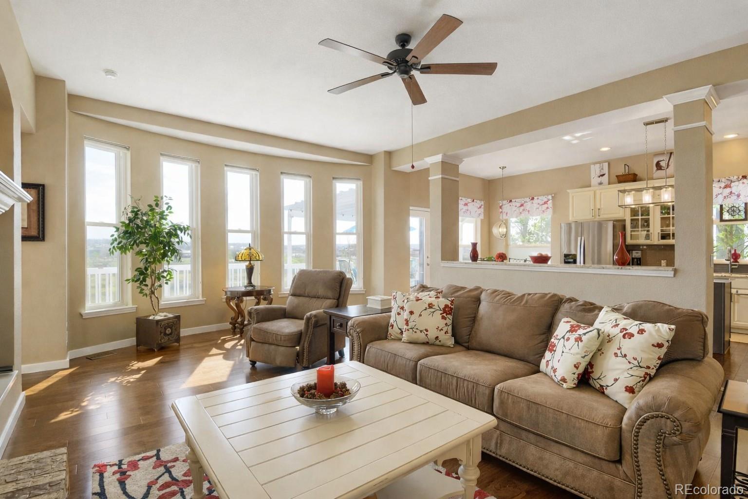 MLS Image #8 for 10270  amethyst way,parker, Colorado