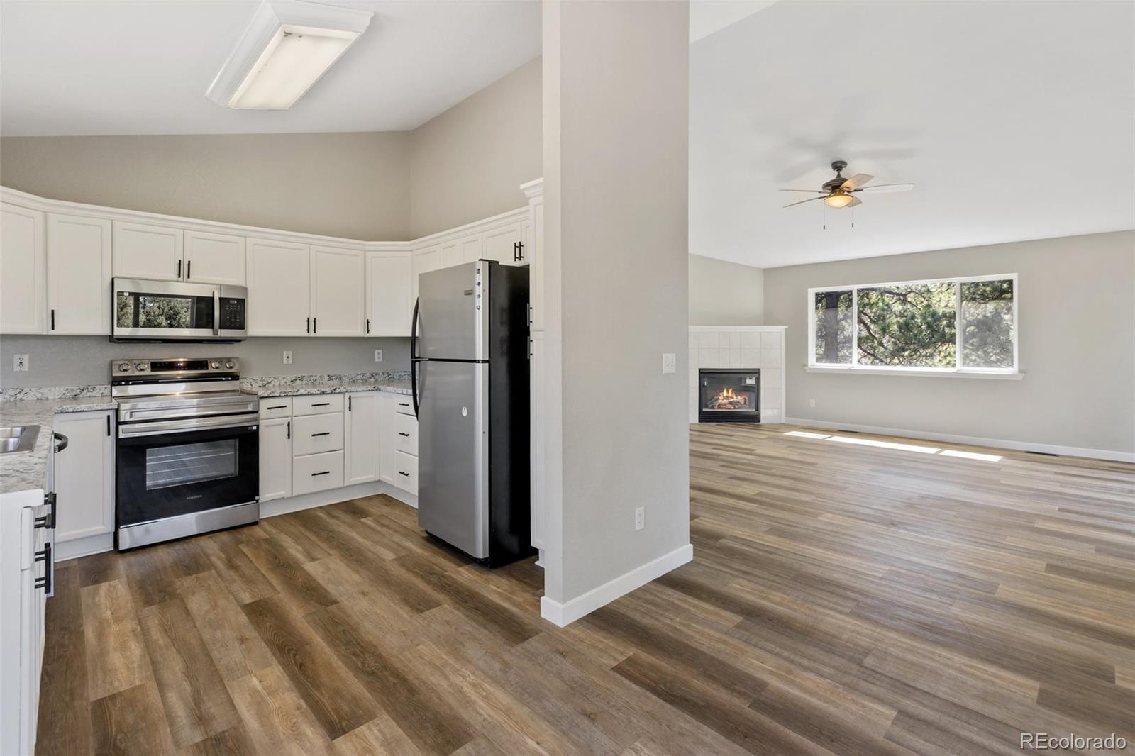 MLS Image #12 for 18  mt. powderhorn ,florissant, Colorado