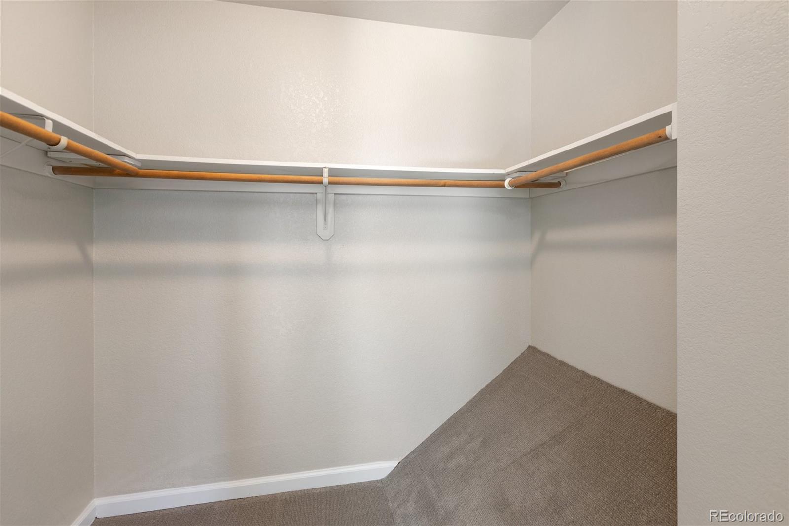 MLS Image #22 for 18  mt. powderhorn ,florissant, Colorado