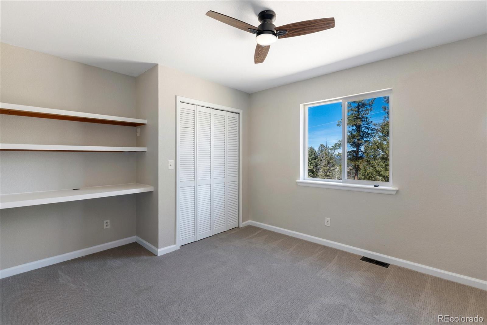 MLS Image #23 for 18  mt. powderhorn ,florissant, Colorado