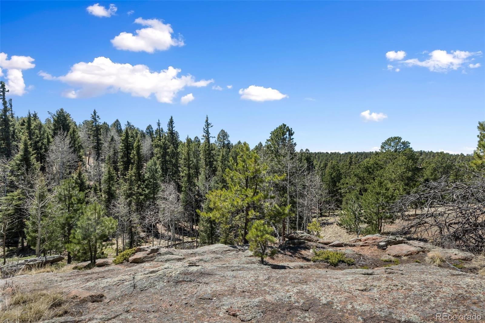 MLS Image #7 for 18  mt. powderhorn ,florissant, Colorado
