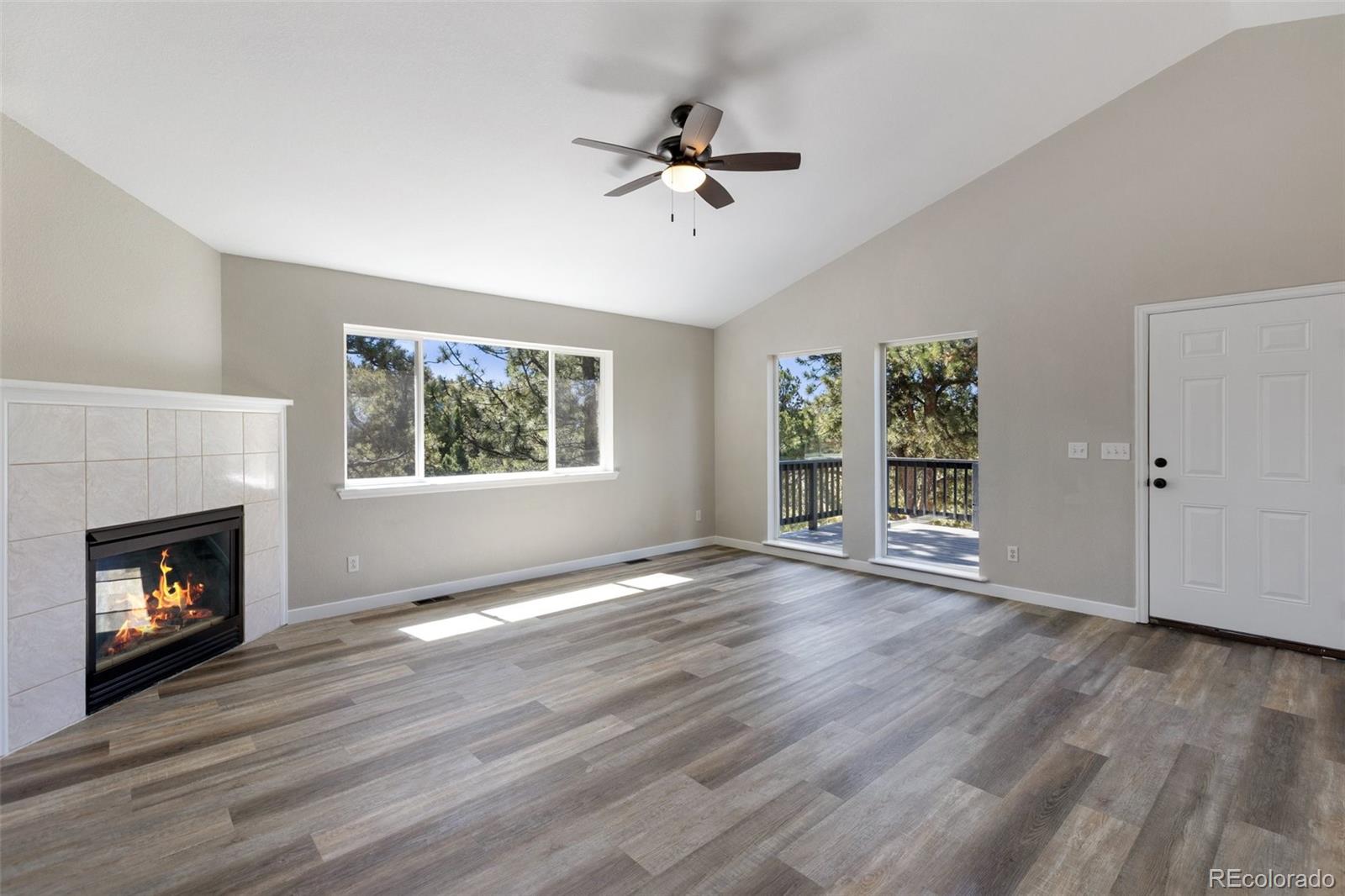 MLS Image #9 for 18  mt. powderhorn ,florissant, Colorado