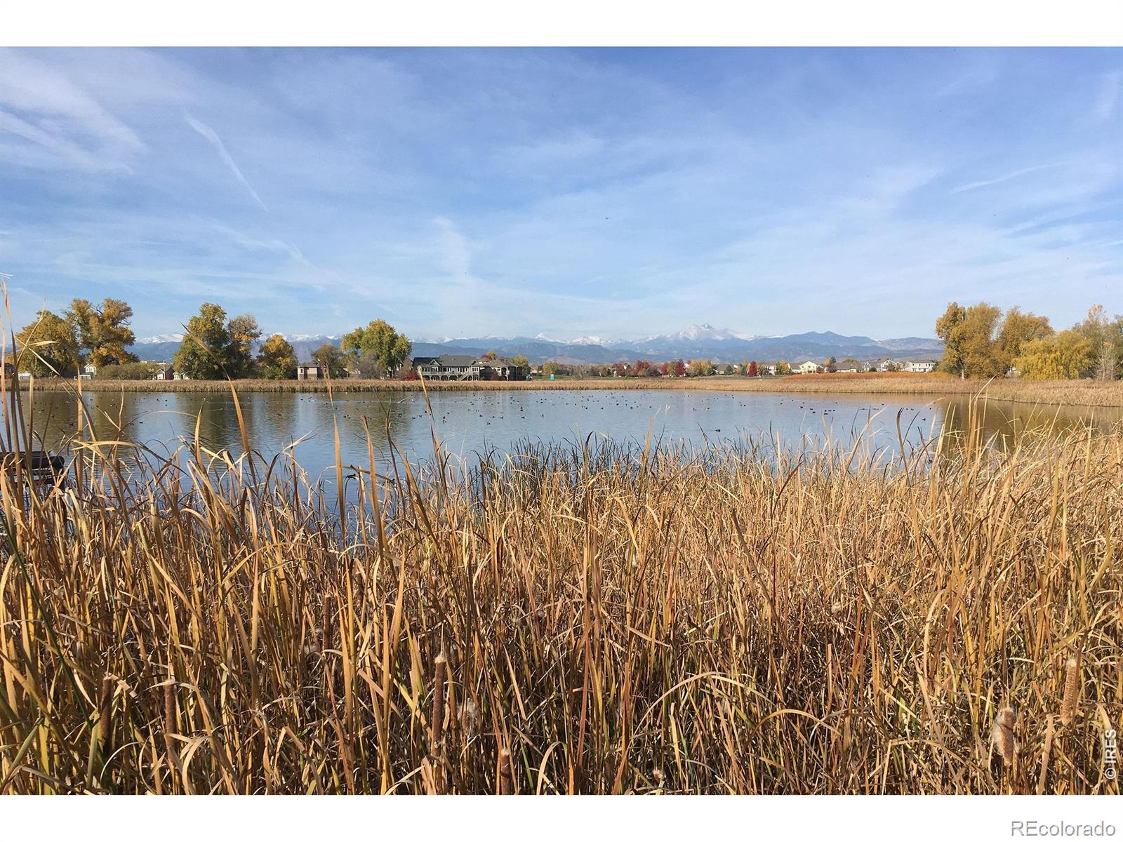 MLS Image #32 for 1934  rannoch drive,longmont, Colorado