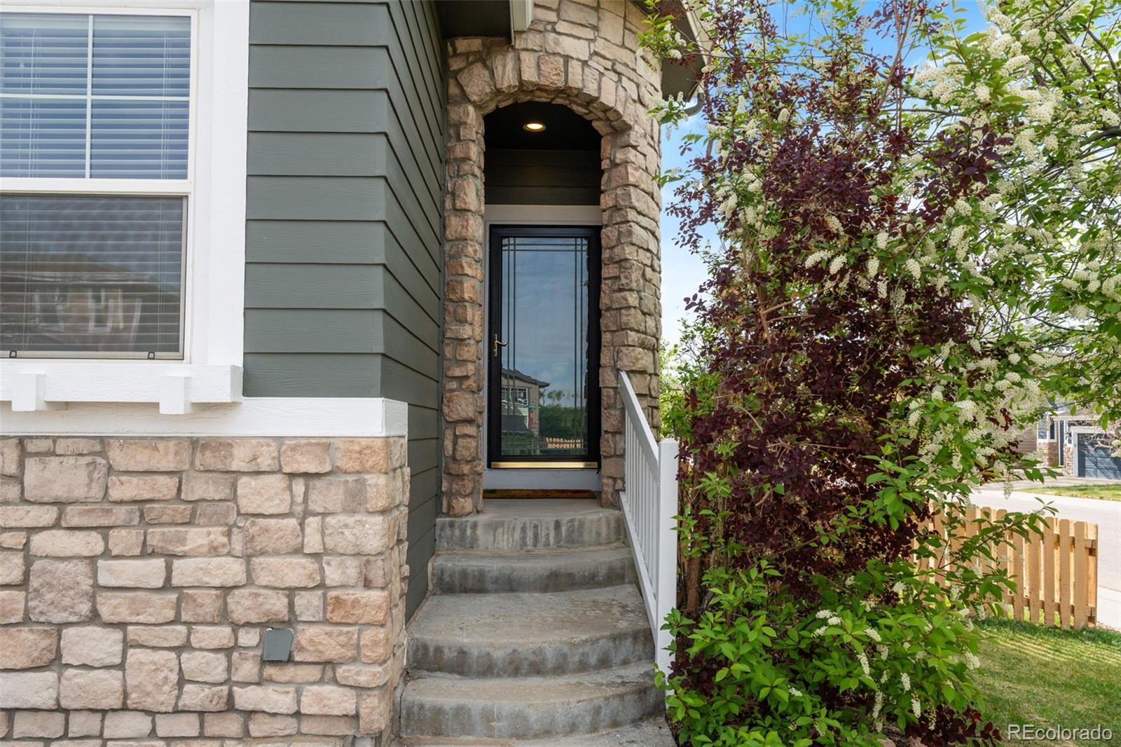 MLS Image #2 for 10665  evondale street,highlands ranch, Colorado
