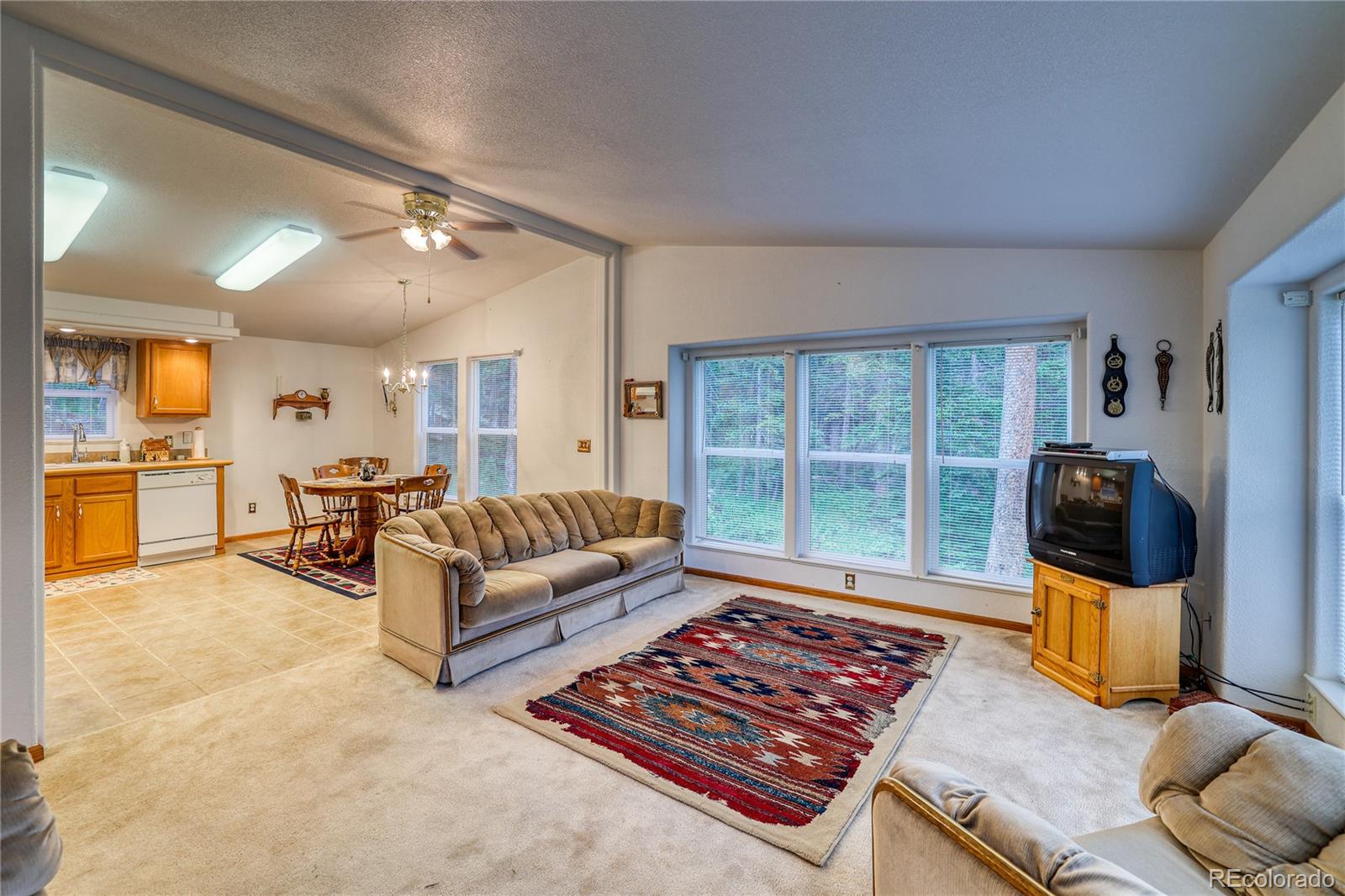 MLS Image #1 for 10  stuart vista court,idaho springs, Colorado