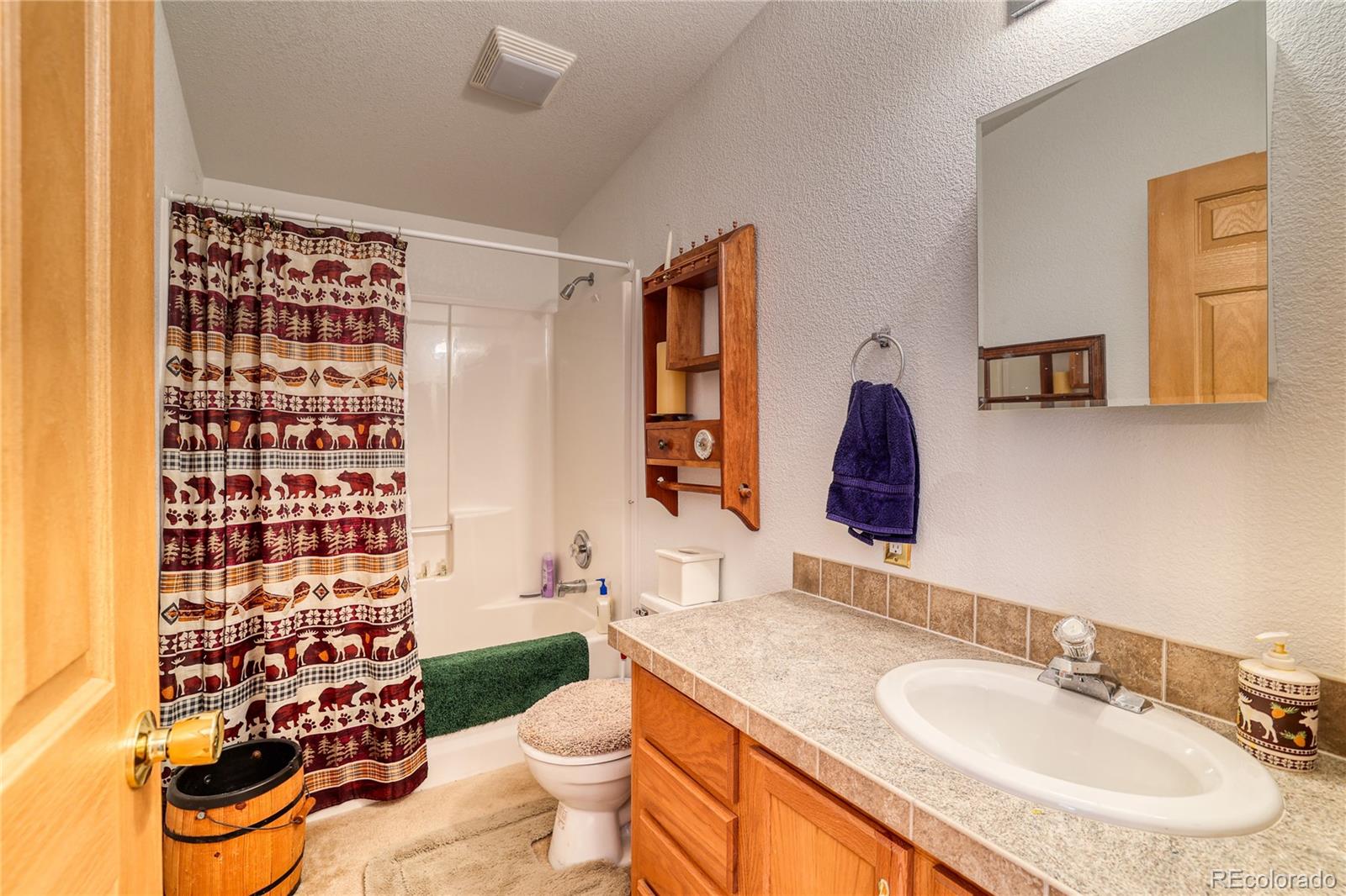 MLS Image #10 for 10  stuart vista court,idaho springs, Colorado