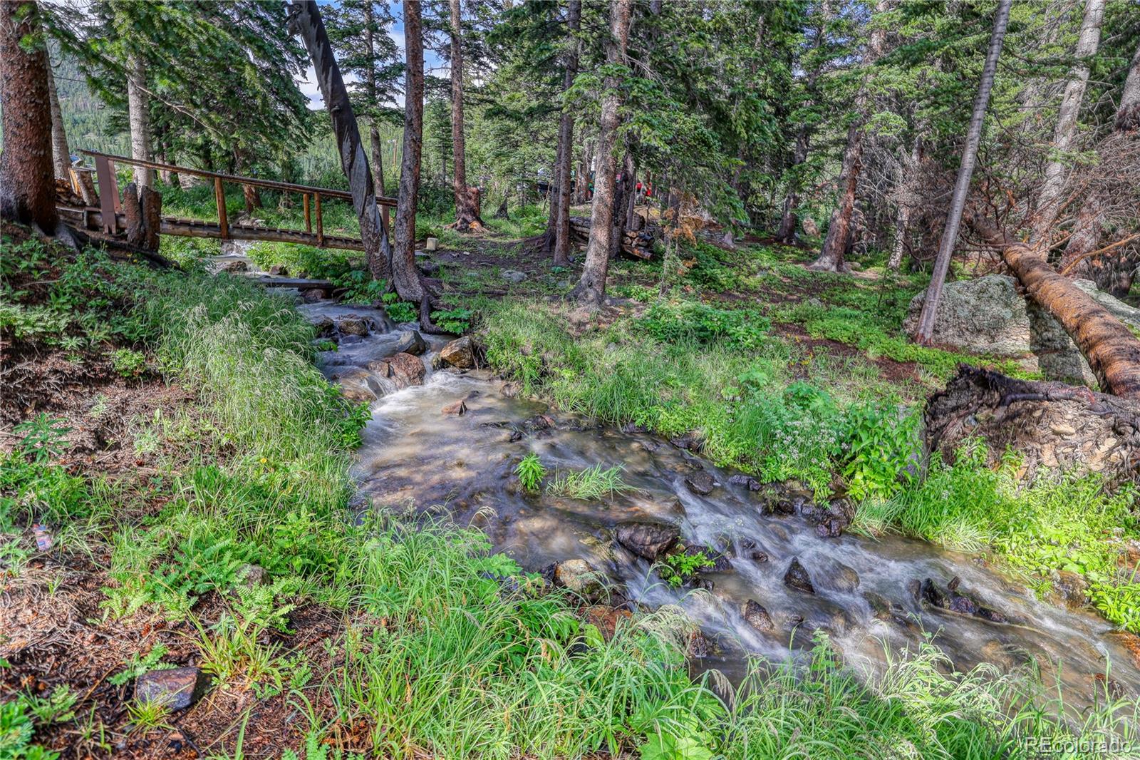 MLS Image #15 for 10  stuart vista court,idaho springs, Colorado