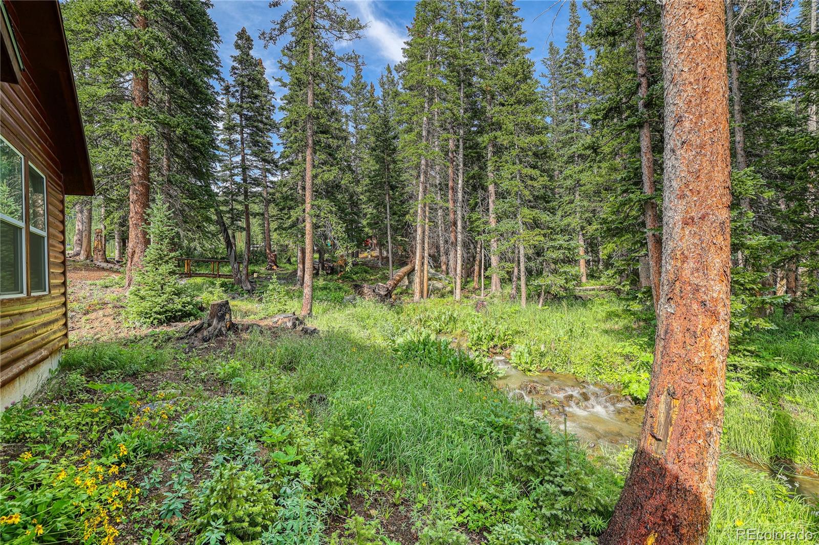 MLS Image #16 for 10  stuart vista court,idaho springs, Colorado