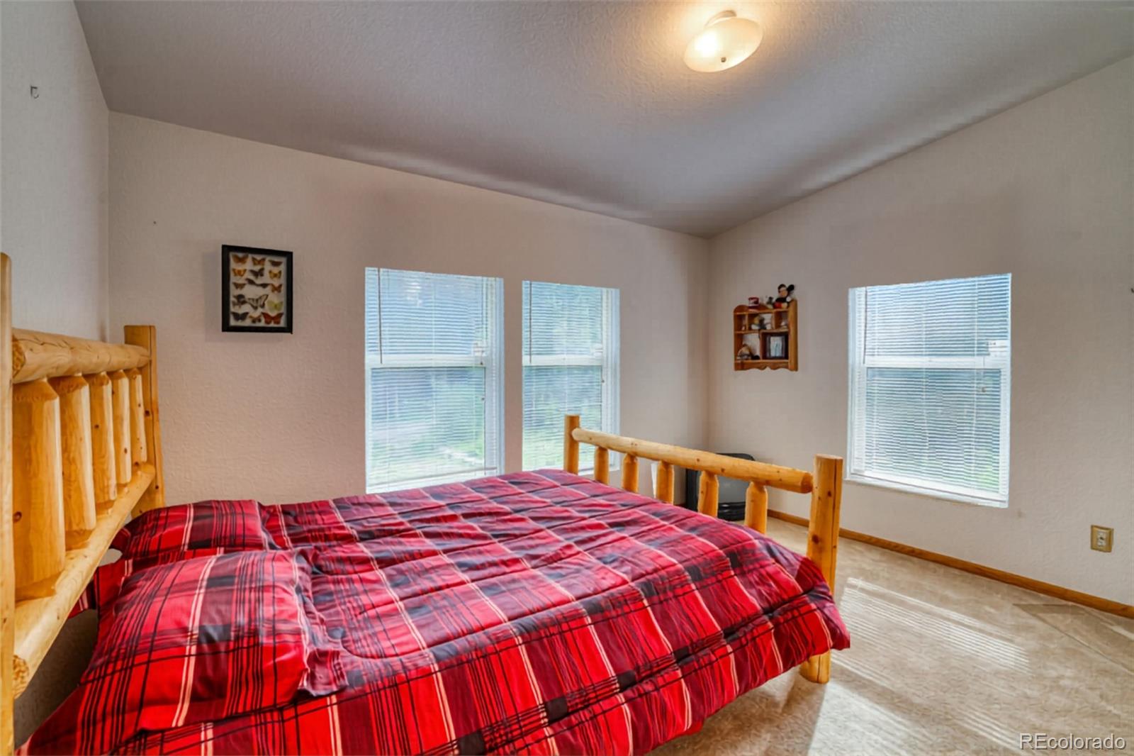 MLS Image #9 for 10  stuart vista court,idaho springs, Colorado