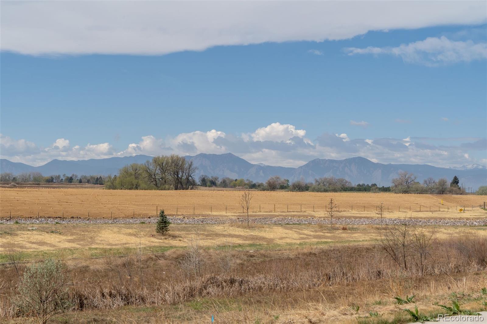 MLS Image #46 for 2407  flats street,erie, Colorado