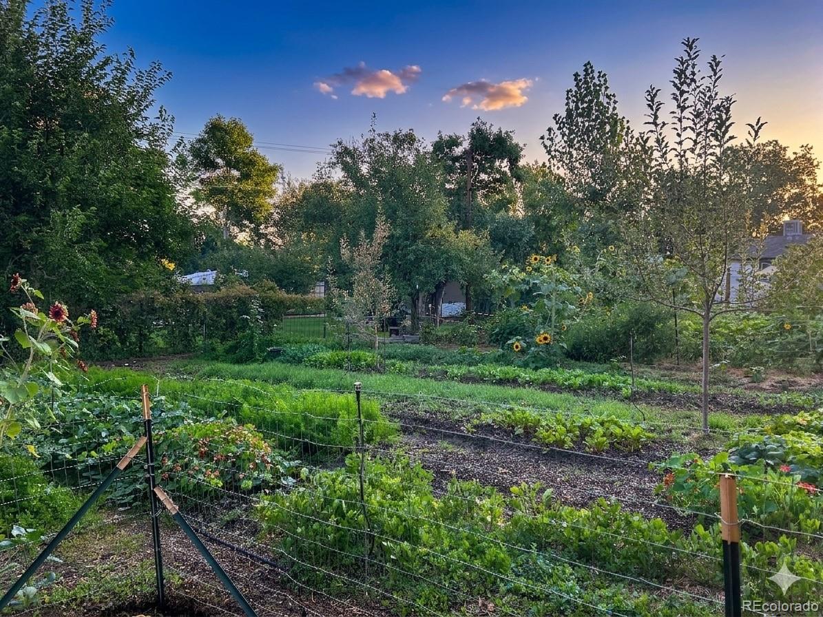 MLS Image #31 for 855 s yates street,denver, Colorado