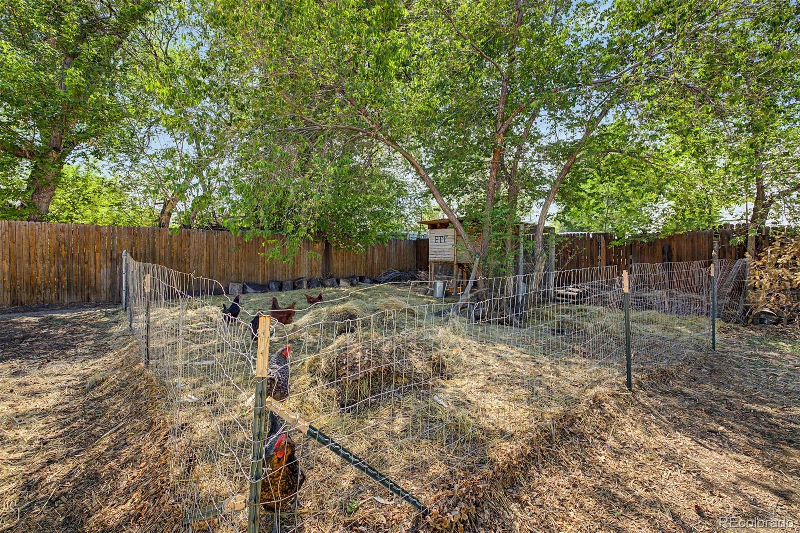 MLS Image #37 for 855 s yates street,denver, Colorado