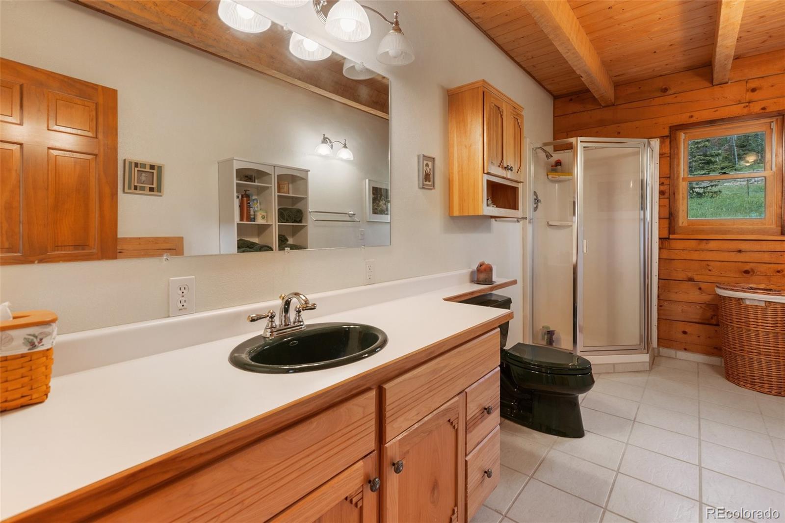 MLS Image #19 for 133  vail drive,florissant, Colorado