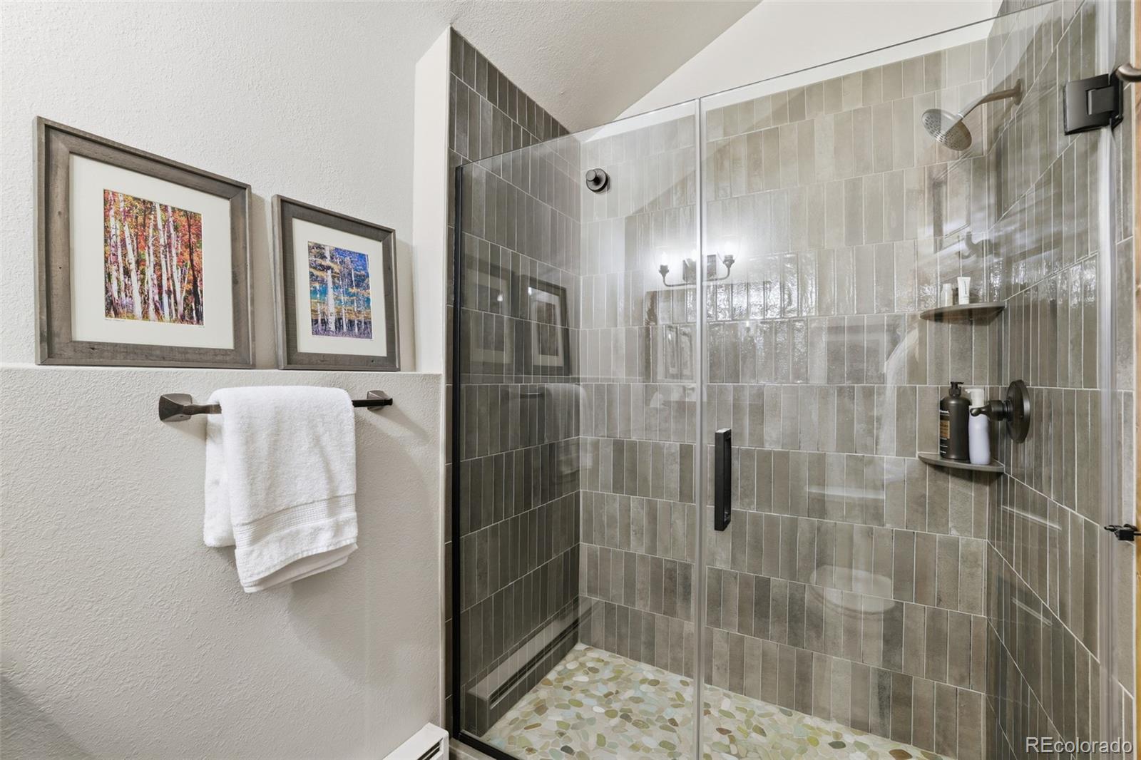 MLS Image #13 for 348  broken lance drive ,breckenridge, Colorado