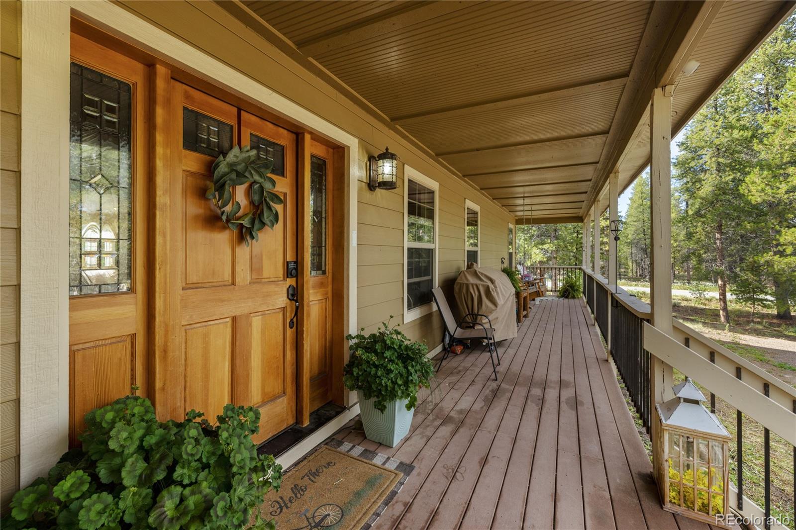 MLS Image #2 for 1788  autumn drive,leadville, Colorado