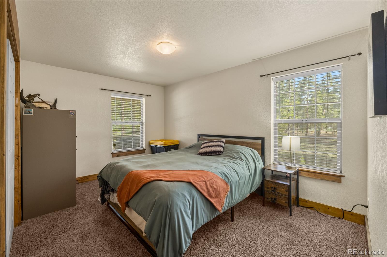 MLS Image #22 for 1788  autumn drive,leadville, Colorado