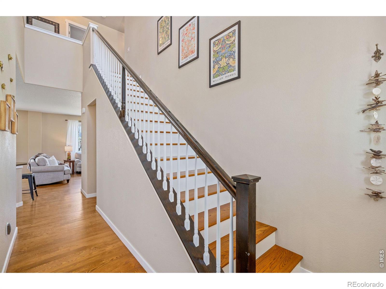 MLS Image #17 for 632  denali court,windsor, Colorado