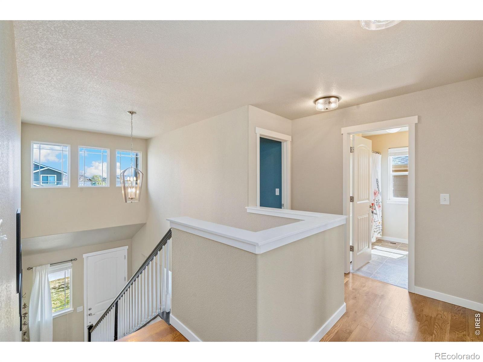 MLS Image #18 for 632  denali court,windsor, Colorado