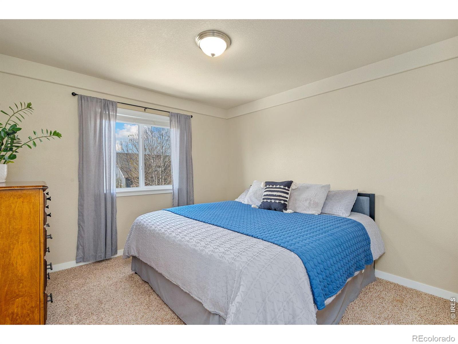MLS Image #22 for 632  denali court,windsor, Colorado