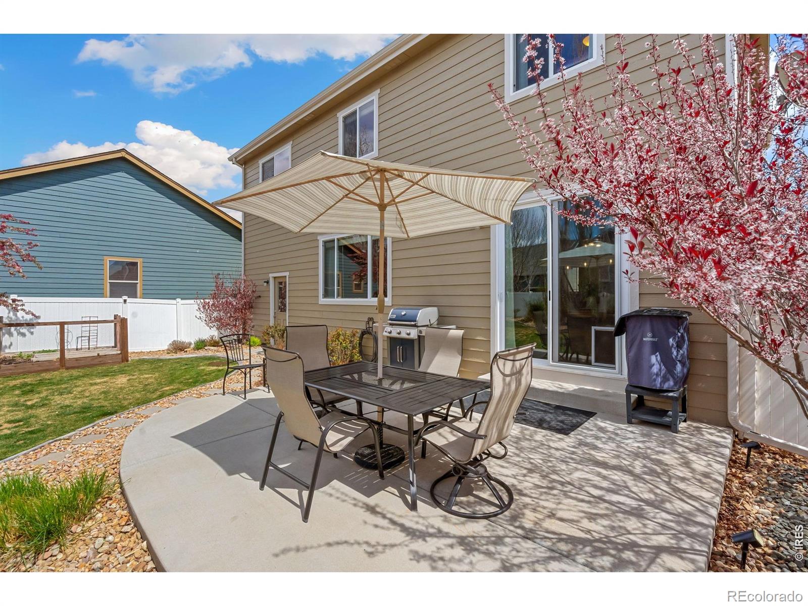 MLS Image #29 for 632  denali court,windsor, Colorado