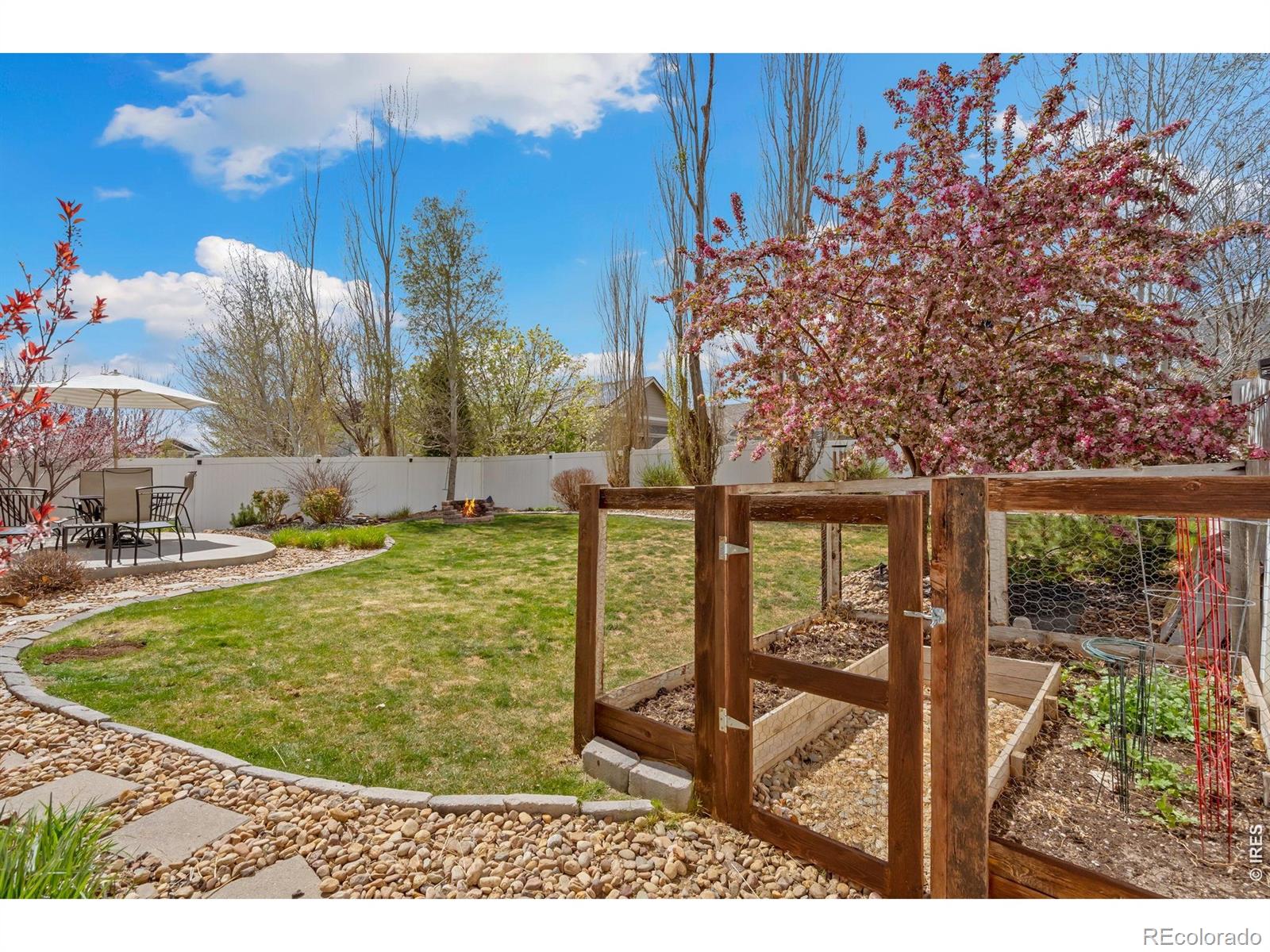MLS Image #30 for 632  denali court,windsor, Colorado