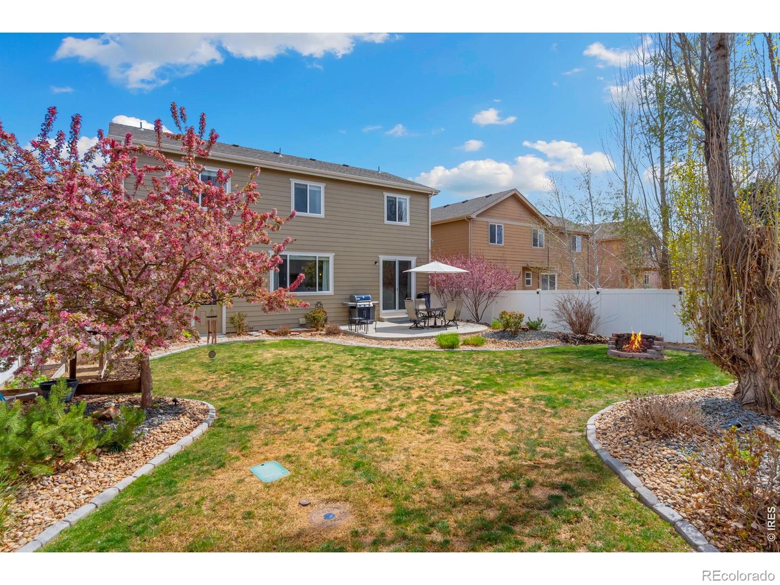 MLS Image #32 for 632  denali court,windsor, Colorado