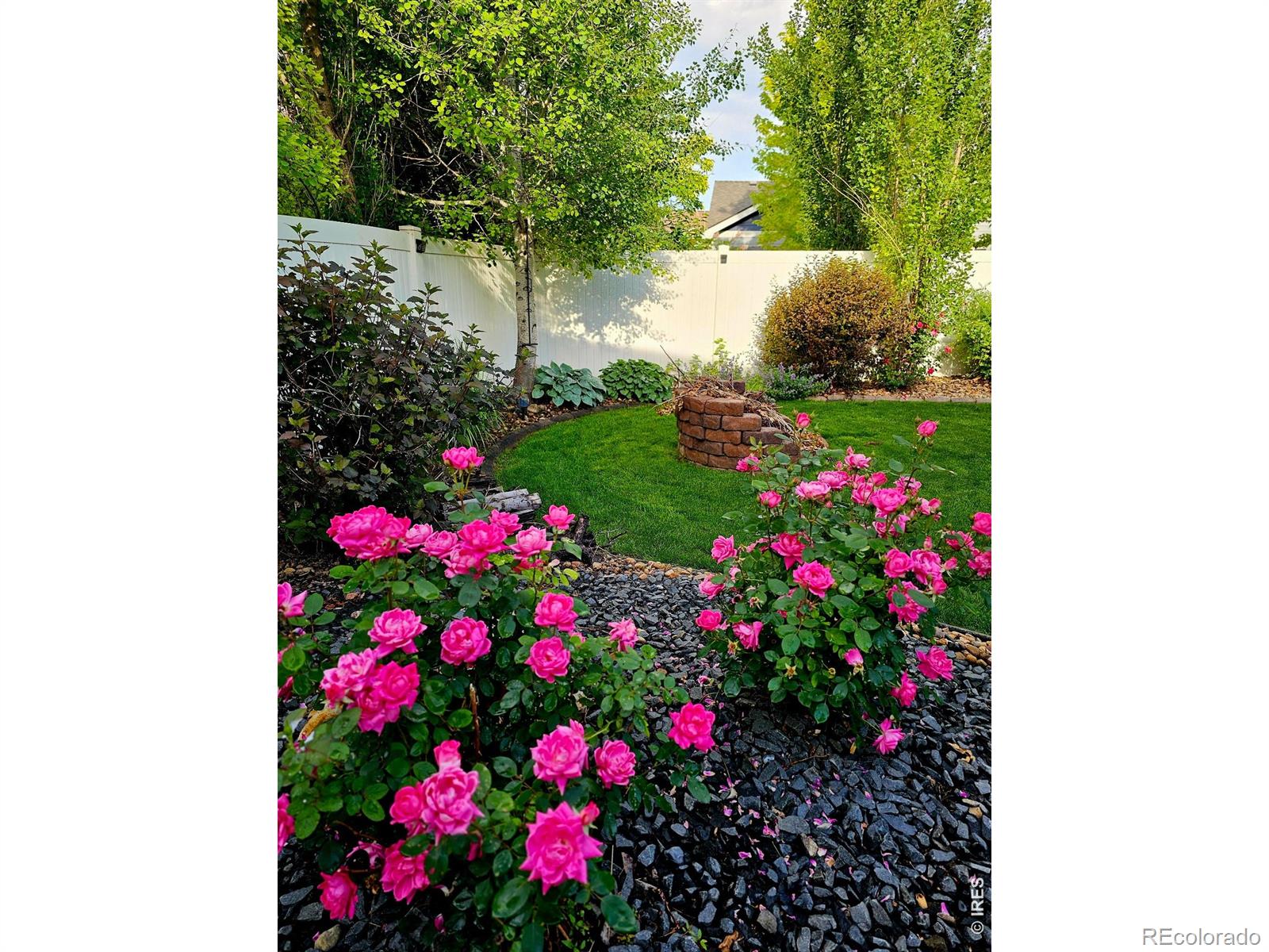MLS Image #44 for 632  denali court,windsor, Colorado