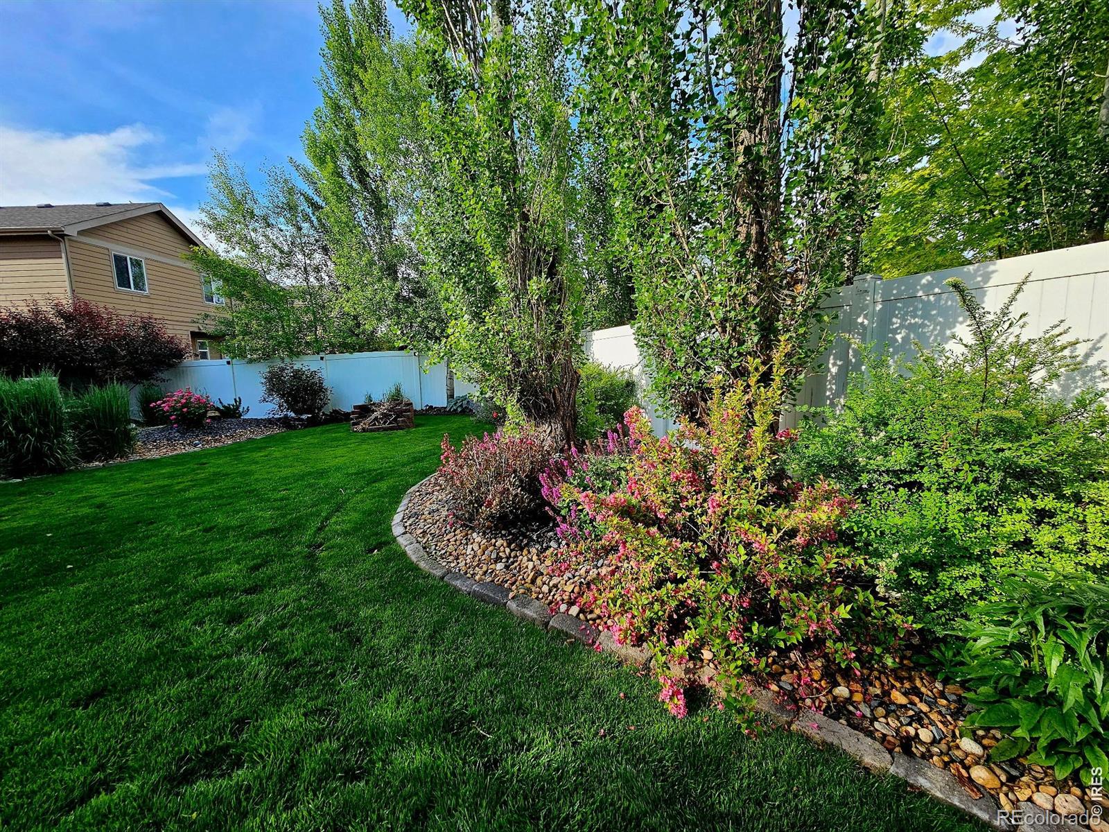 MLS Image #46 for 632  denali court,windsor, Colorado