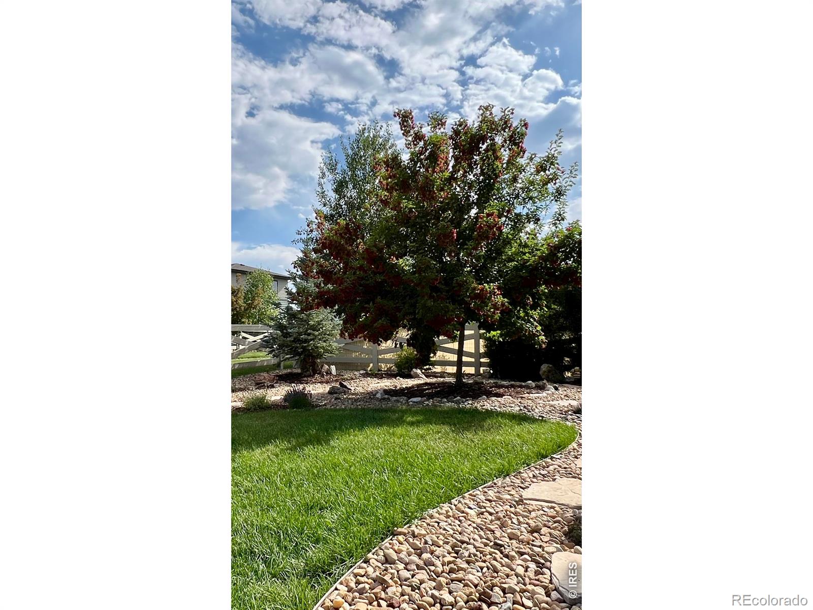MLS Image #30 for 2145  lambic street,fort collins, Colorado