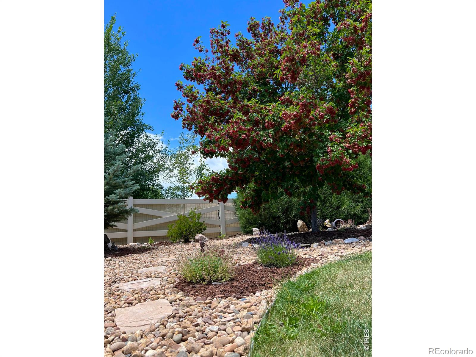 MLS Image #33 for 2145  lambic street,fort collins, Colorado