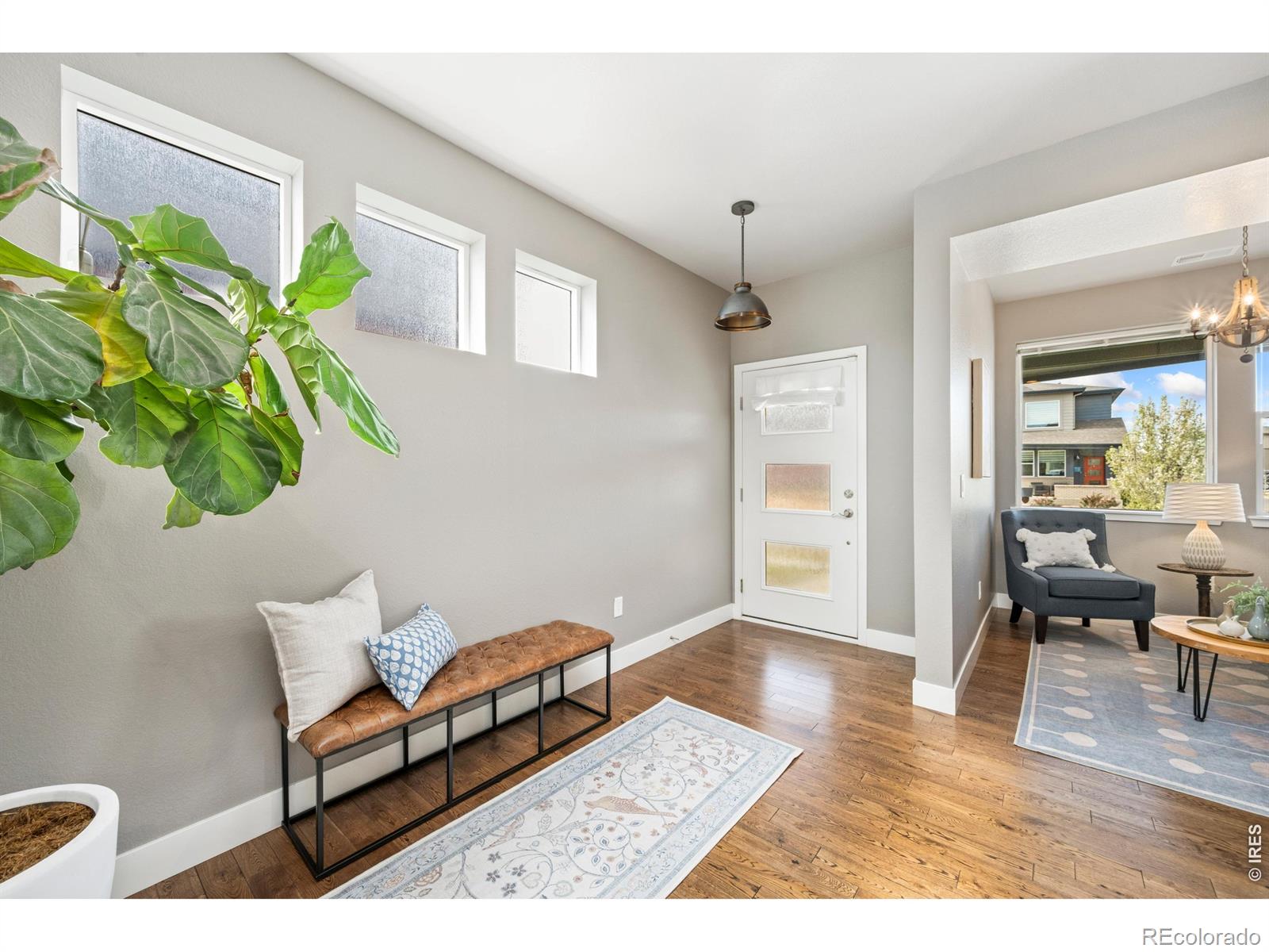 MLS Image #4 for 2145  lambic street,fort collins, Colorado