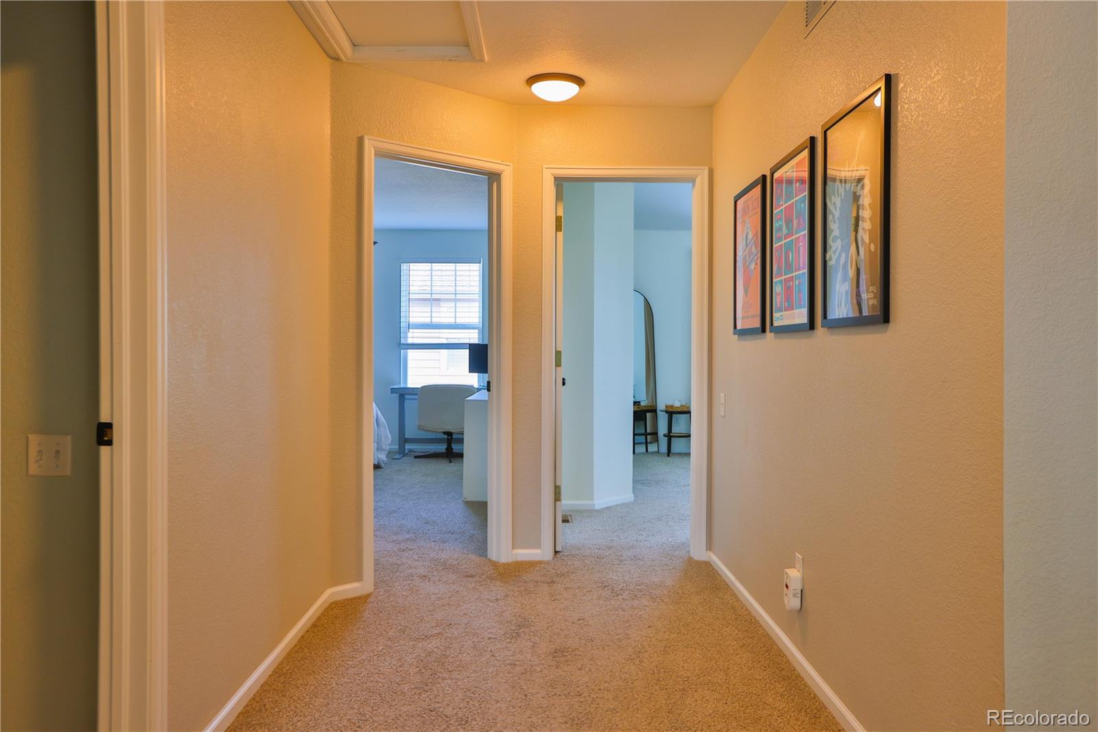 MLS Image #17 for 10118  grove loop,westminster, Colorado
