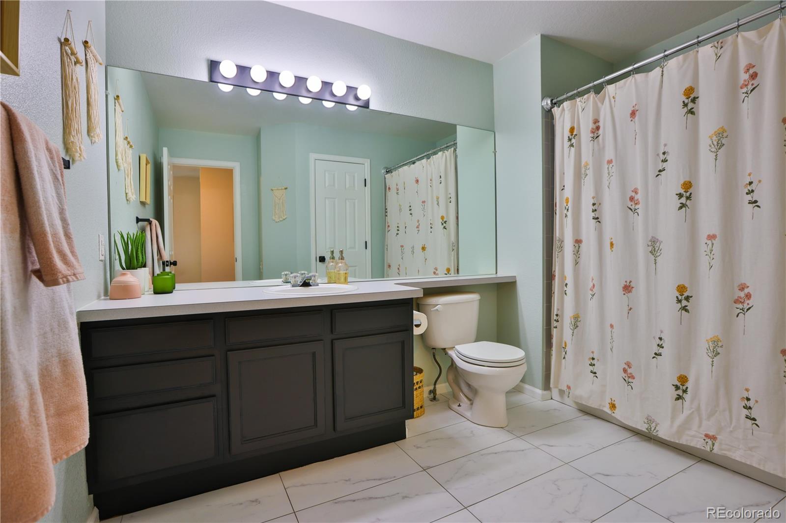 MLS Image #20 for 10118  grove loop,westminster, Colorado