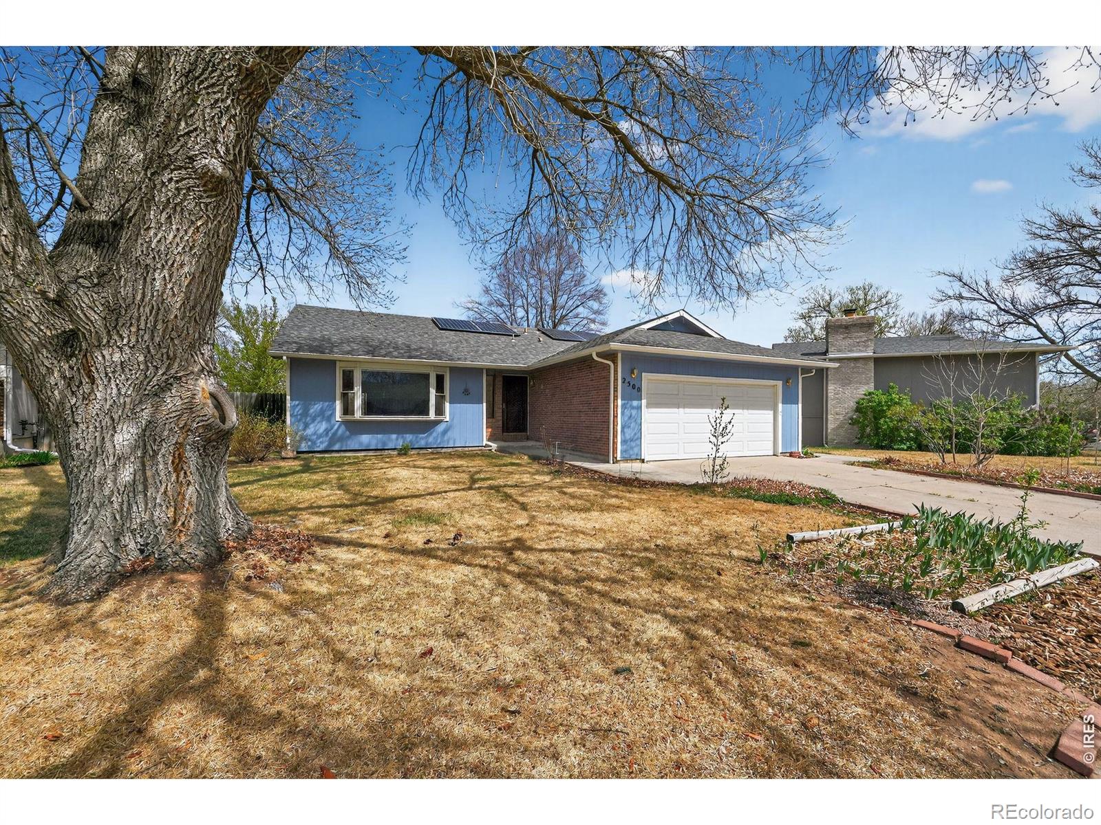 MLS Image #2 for 2500  wyandotte drive,fort collins, Colorado