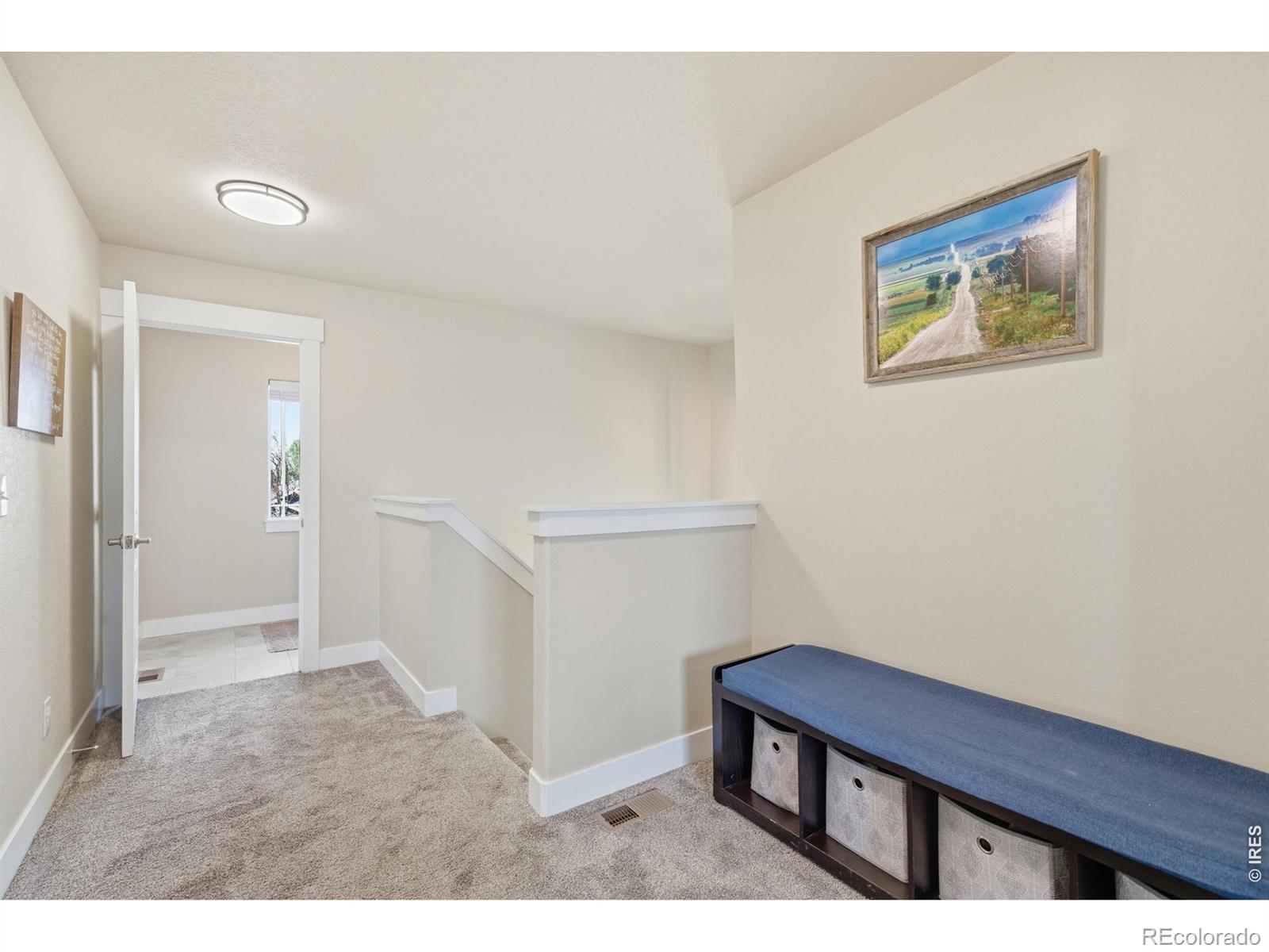 MLS Image #14 for 1027  canal drive,windsor, Colorado