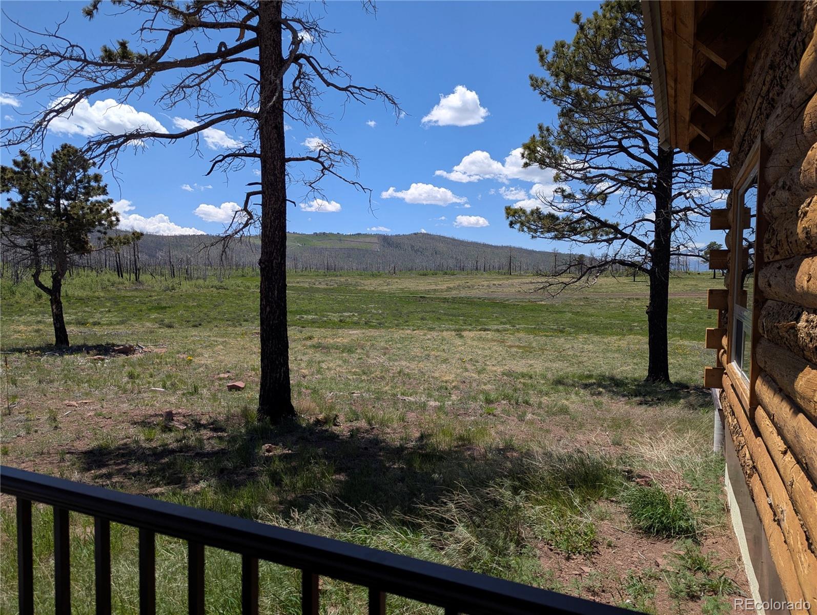 MLS Image #5 for 1456  von heyl lane,fort garland, Colorado