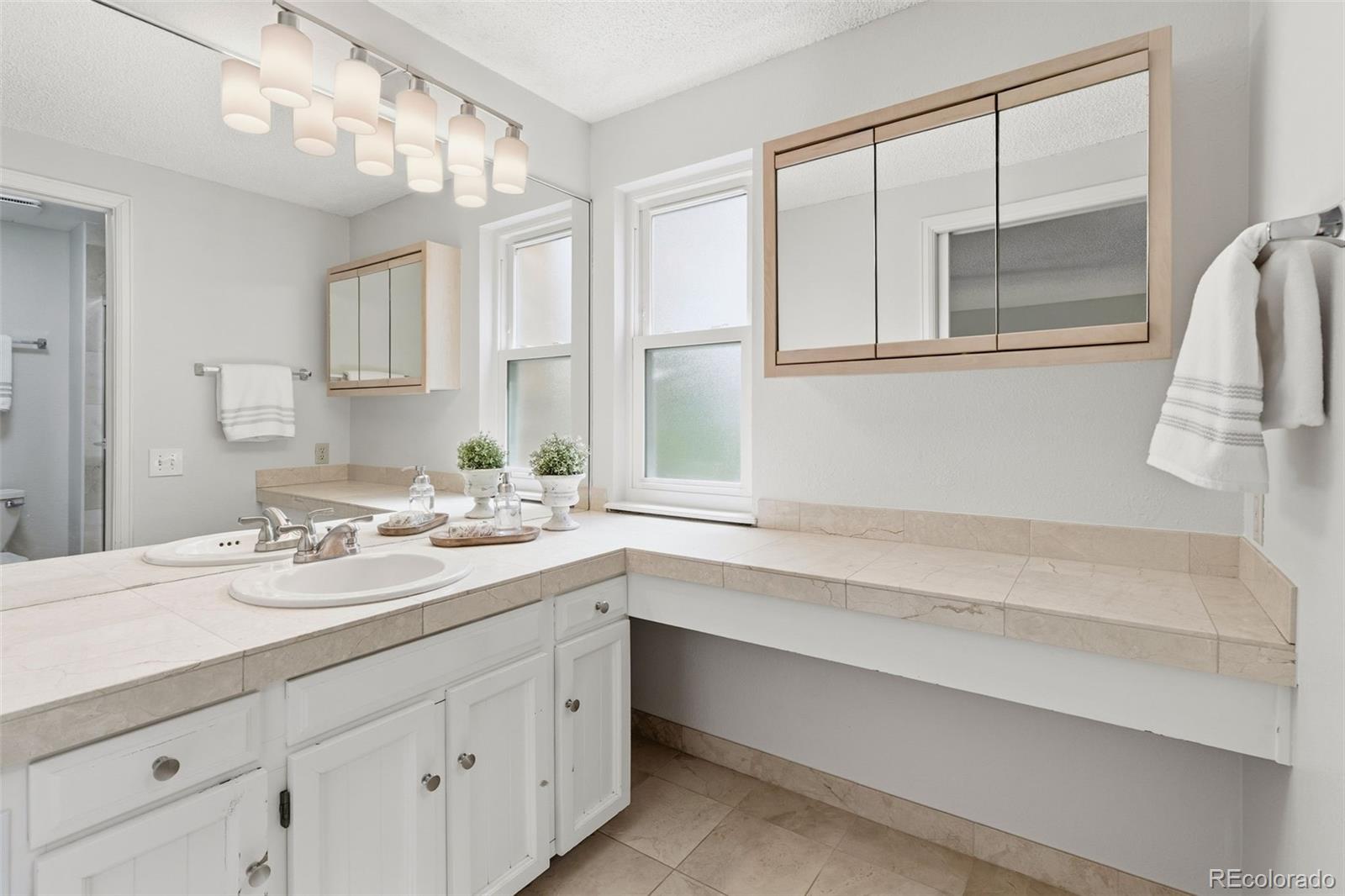 MLS Image #20 for 11014  twilight peak ,littleton, Colorado