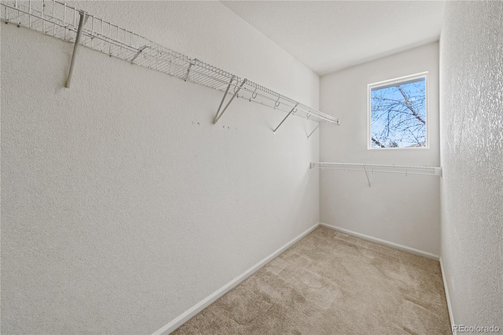 MLS Image #17 for 10659  upper highland drive,longmont, Colorado