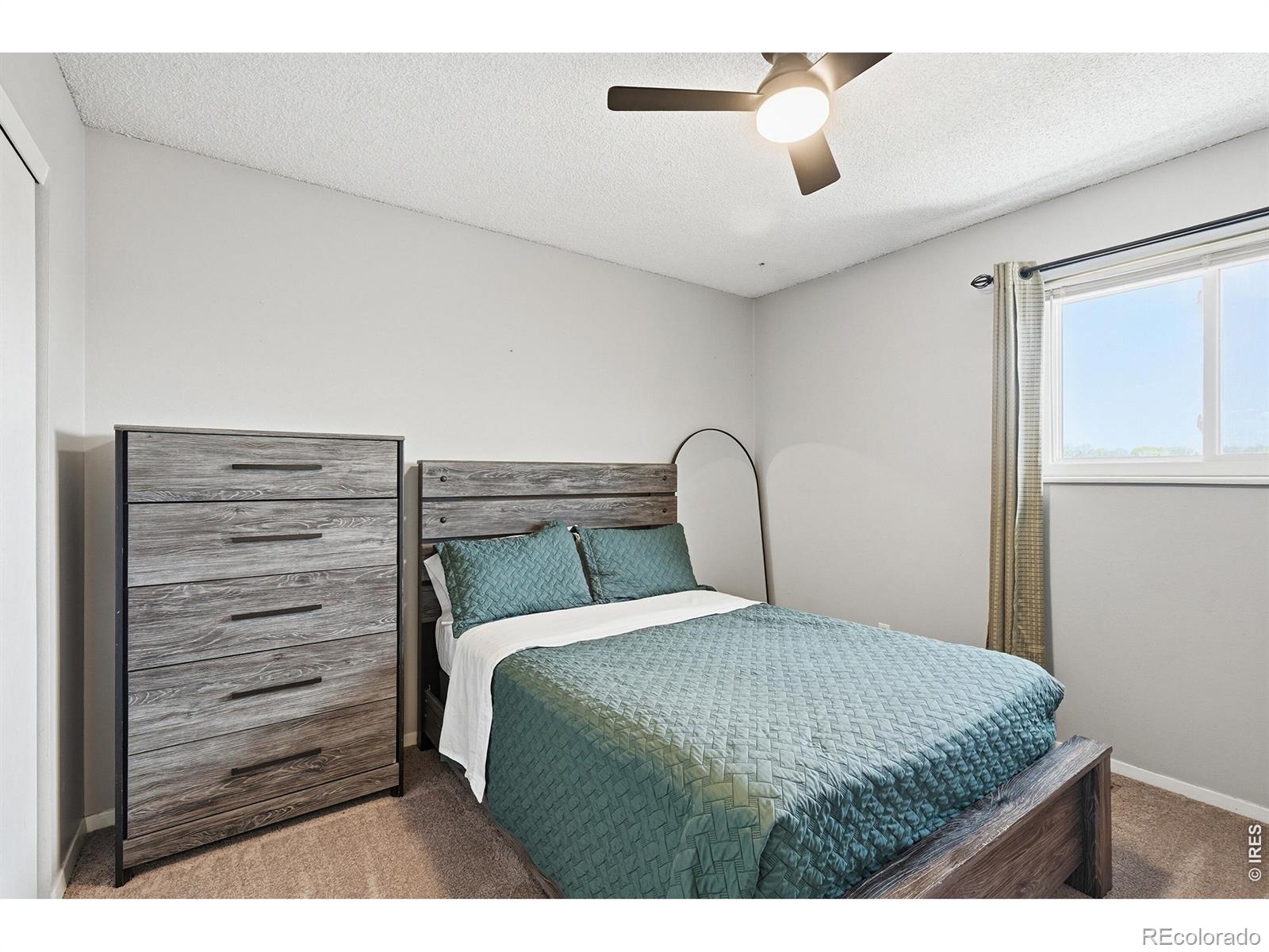 MLS Image #10 for 539  cora place,loveland, Colorado
