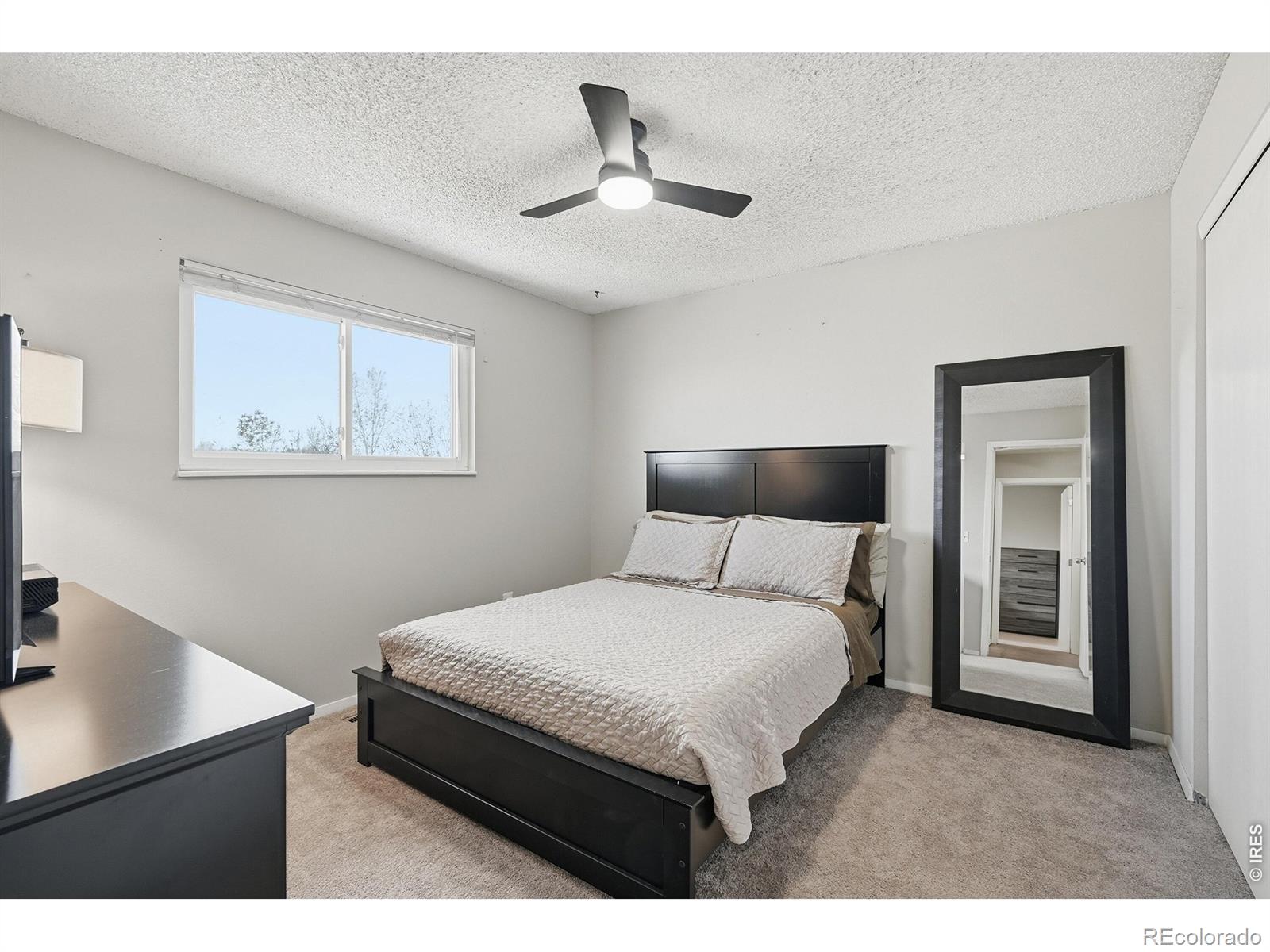 MLS Image #11 for 539  cora place,loveland, Colorado